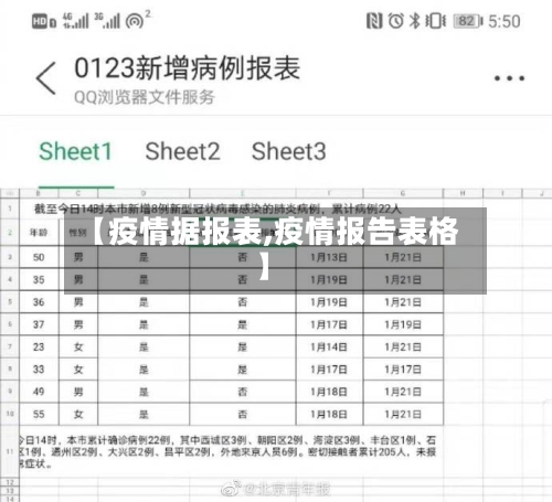 【疫情据报表,疫情报告表格】