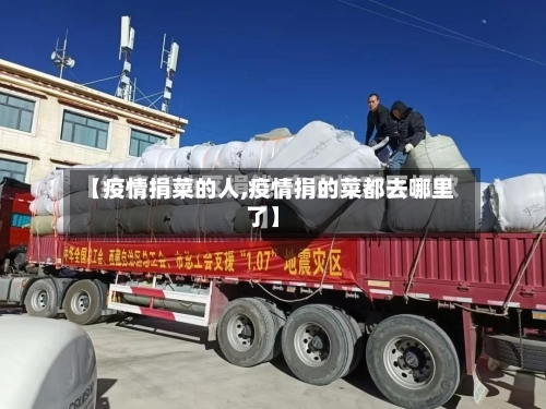 【疫情捐菜的人,疫情捐的菜都去哪里了】