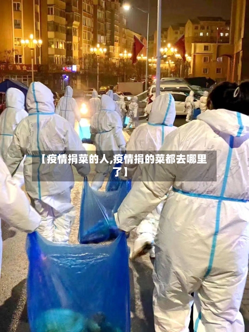 【疫情捐菜的人,疫情捐的菜都去哪里了】-第2张图片