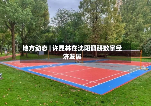 地方动态 | 许昆林在沈阳调研数字经济发展