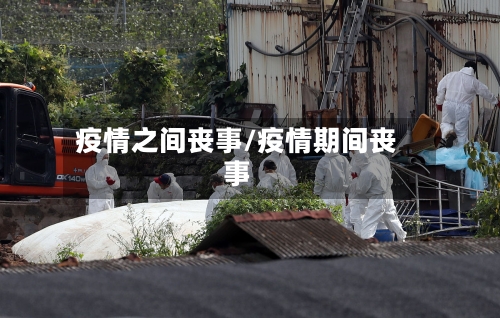 疫情之间丧事/疫情期间丧事-第2张图片