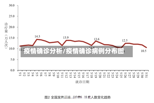 疫情确诊分析/疫情确诊病例分布图