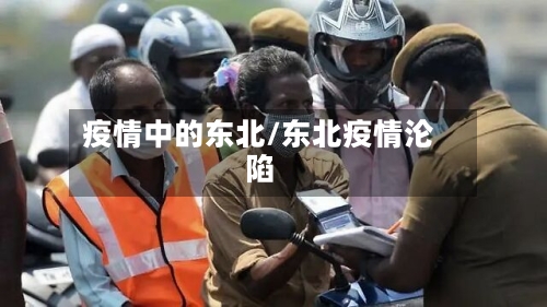 疫情中的东北/东北疫情沦陷