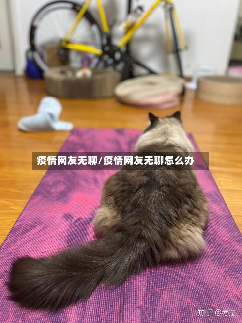 疫情网友无聊/疫情网友无聊怎么办