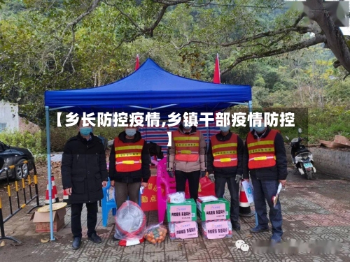 【乡长防控疫情,乡镇干部疫情防控】