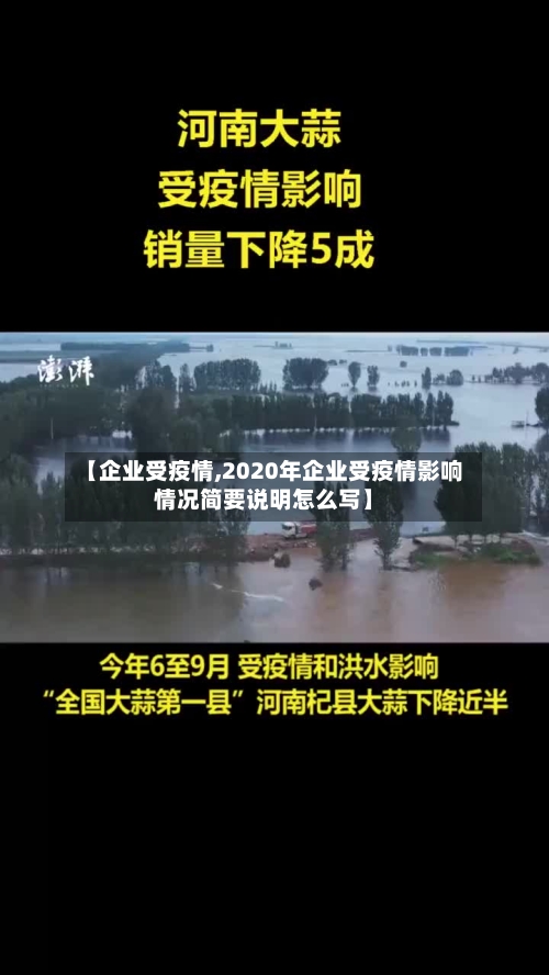 【企业受疫情,2020年企业受疫情影响情况简要说明怎么写】