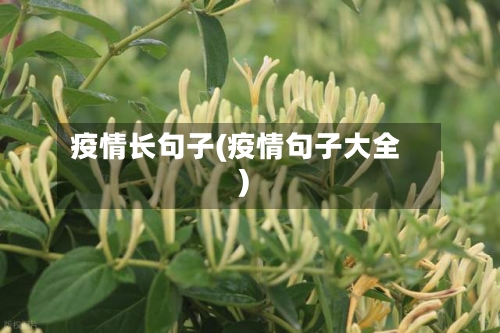 疫情长句子(疫情句子大全)