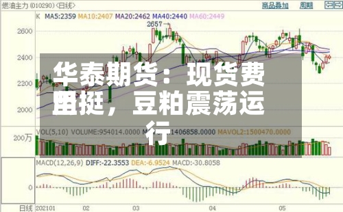 华泰期货：现货费用坚挺，豆粕震荡运行