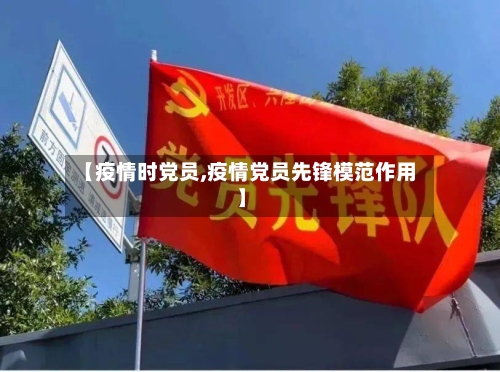 【疫情时党员,疫情党员先锋模范作用】-第3张图片