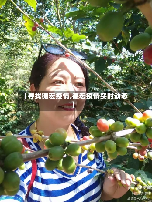 【寻找德宏疫情,德宏疫情实时动态】-第2张图片