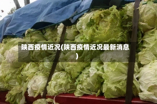 陕西疫情近况(陕西疫情近况最新消息)