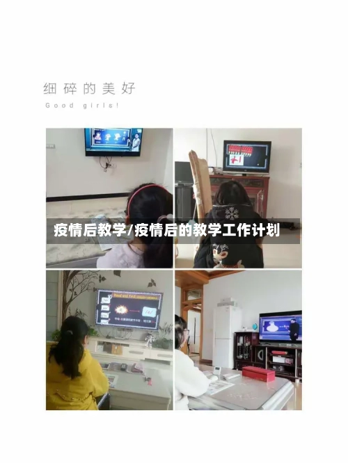 疫情后教学/疫情后的教学工作计划
