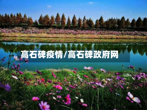 高石碑疫情/高石碑政府网-第2张图片