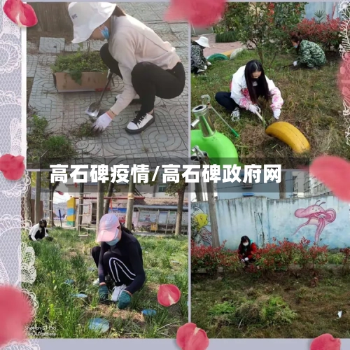 高石碑疫情/高石碑政府网-第3张图片