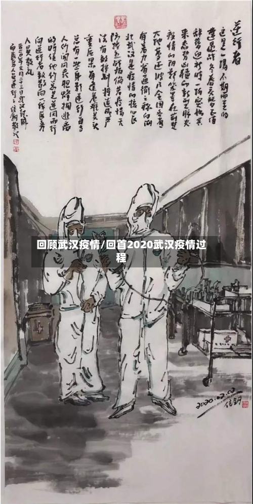 回顾武汉疫情/回首2020武汉疫情过程