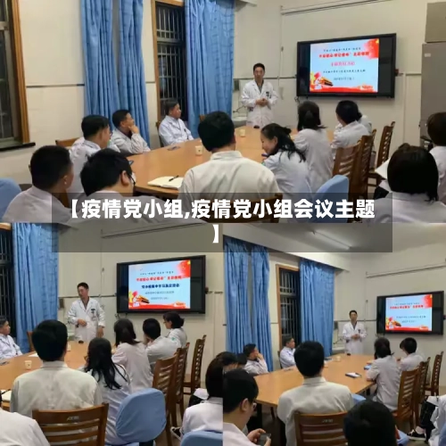 【疫情党小组,疫情党小组会议主题】-第3张图片