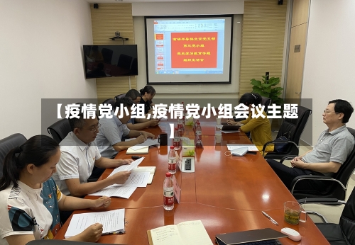【疫情党小组,疫情党小组会议主题】-第2张图片