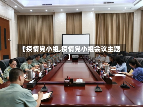 【疫情党小组,疫情党小组会议主题】