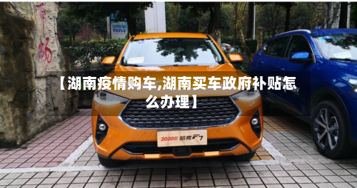【湖南疫情购车,湖南买车政府补贴怎么办理】-第2张图片