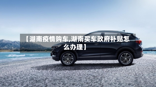 【湖南疫情购车,湖南买车政府补贴怎么办理】