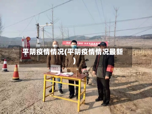 平阴疫情情况(平阴疫情情况最新)-第2张图片