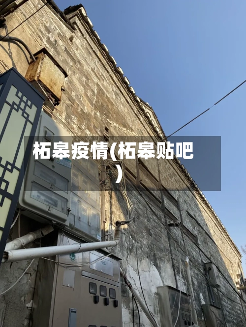 柘皋疫情(柘皋贴吧)