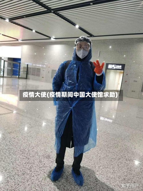 疫情大使(疫情期间中国大使馆求助)