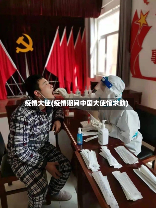 疫情大使(疫情期间中国大使馆求助)-第2张图片