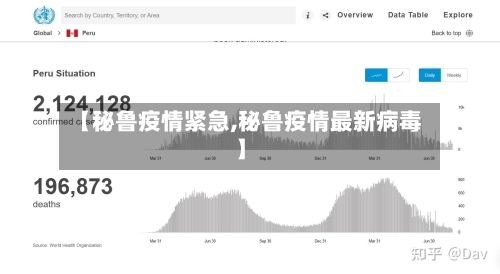 【秘鲁疫情紧急,秘鲁疫情最新病毒】-第2张图片