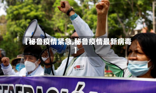 【秘鲁疫情紧急,秘鲁疫情最新病毒】