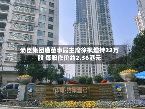 汤臣集团遭董事局主席徐枫增持22万股 每股作价约2.36港元-第2张图片