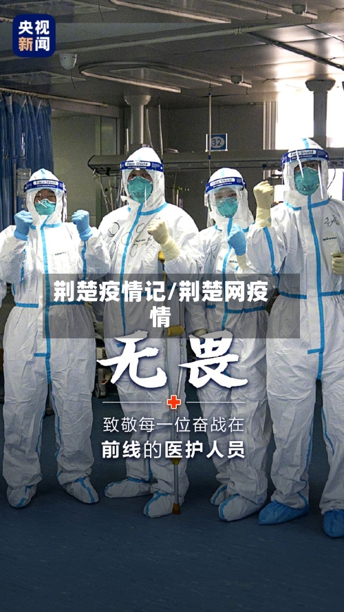 荆楚疫情记/荆楚网疫情