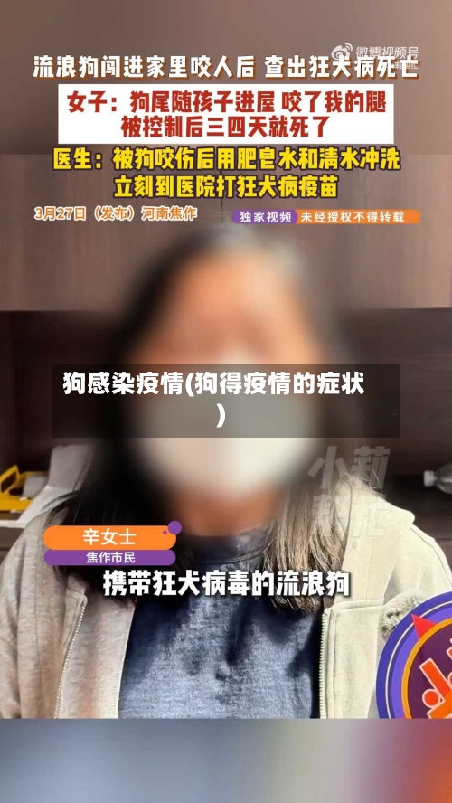 狗感染疫情(狗得疫情的症状)-第2张图片