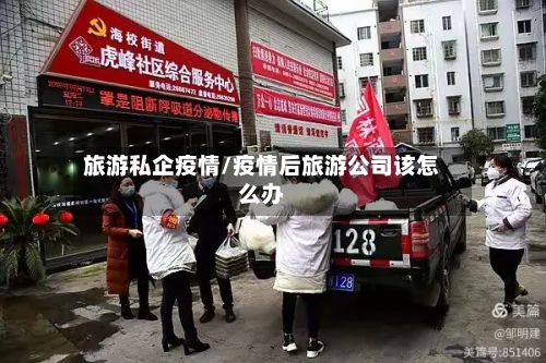 旅游私企疫情/疫情后旅游公司该怎么办