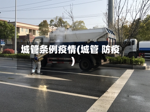 城管条例疫情(城管 防疫)