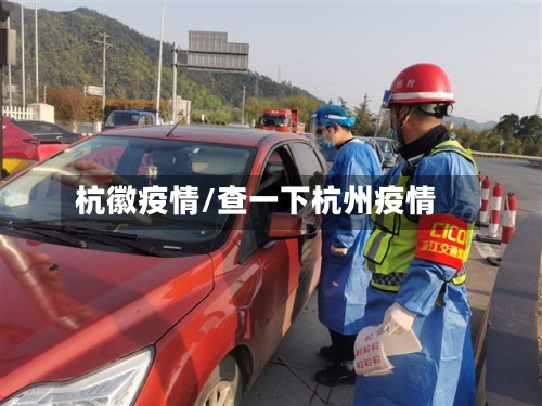 杭徽疫情/查一下杭州疫情-第2张图片
