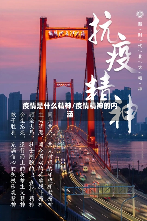 疫情是什么精神/疫情精神的内涵-第2张图片