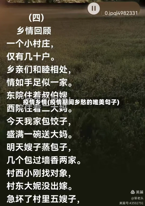 疫情乡情(疫情期间乡愁的唯美句子)