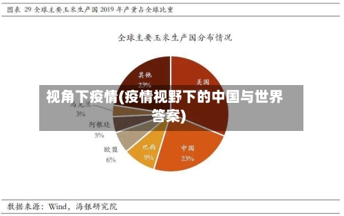 视角下疫情(疫情视野下的中国与世界答案)