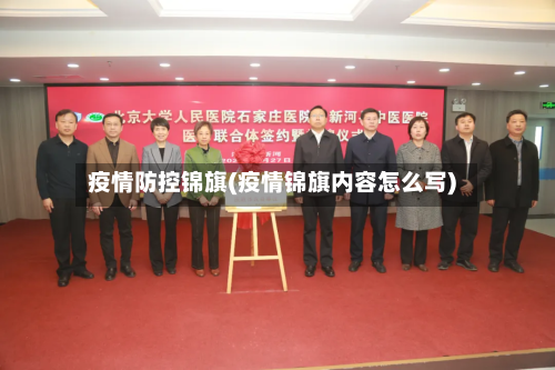 疫情防控锦旗(疫情锦旗内容怎么写)-第2张图片