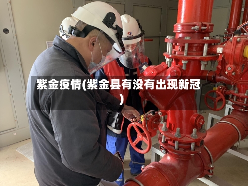 紫金疫情(紫金县有没有出现新冠)