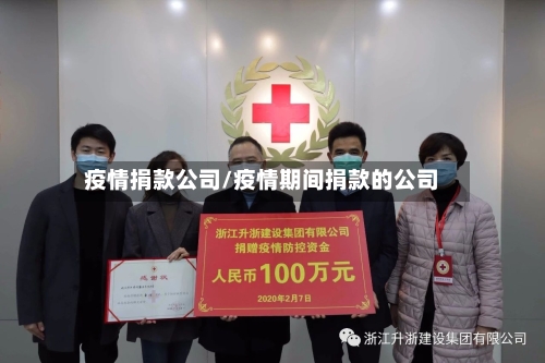 疫情捐款公司/疫情期间捐款的公司