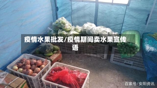 疫情水果批发/疫情期间卖水果宣传语-第2张图片