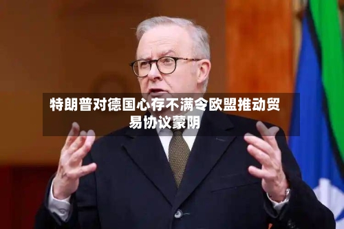 特朗普对德国心存不满令欧盟推动贸易协议蒙阴