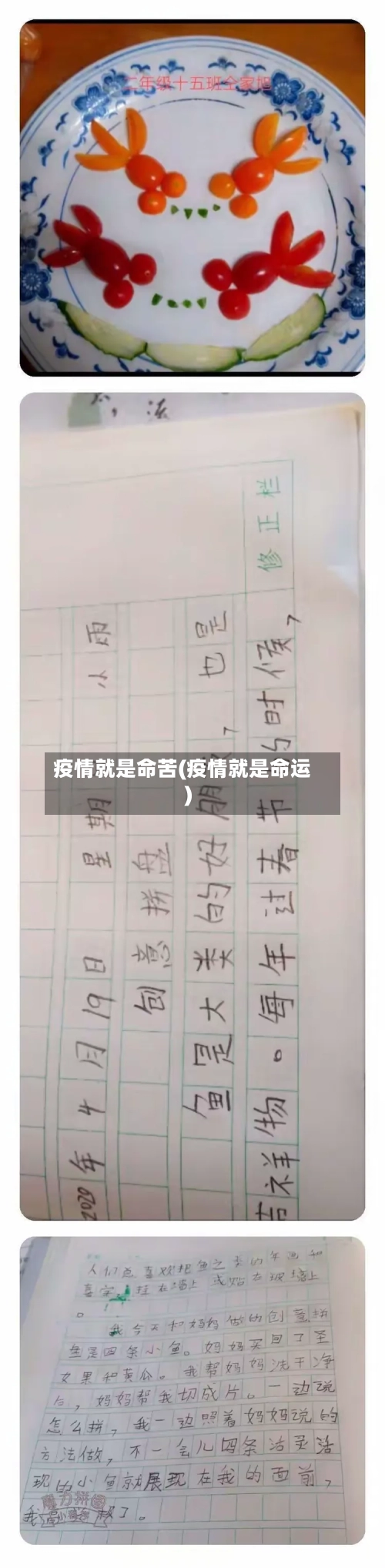 疫情就是命苦(疫情就是命运)-第2张图片