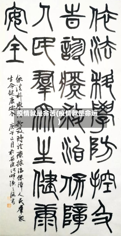 疫情就是命苦(疫情就是命运)