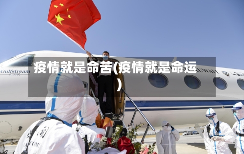 疫情就是命苦(疫情就是命运)-第3张图片