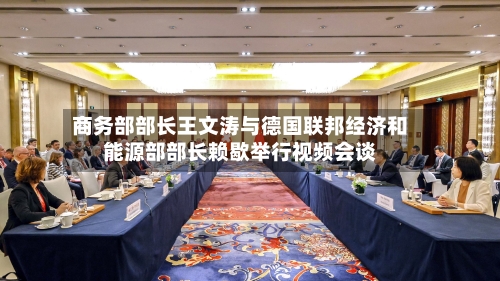 商务部部长王文涛与德国联邦经济和能源部部长赖歇举行视频会谈