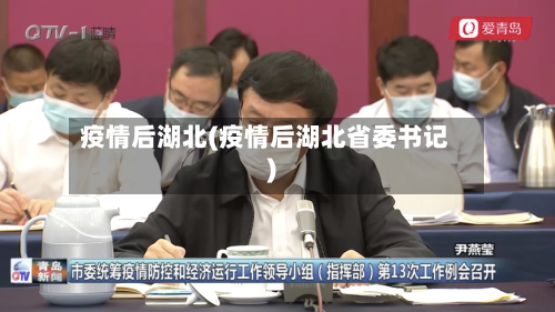 疫情后湖北(疫情后湖北省委书记)