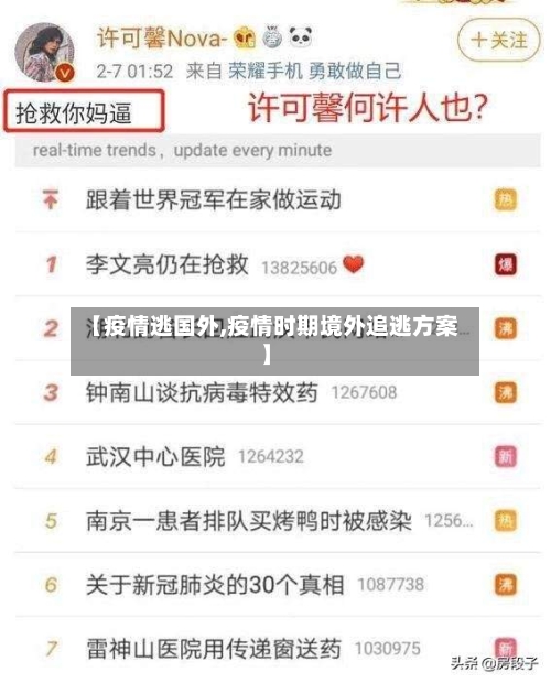 【疫情逃国外,疫情时期境外追逃方案】-第2张图片